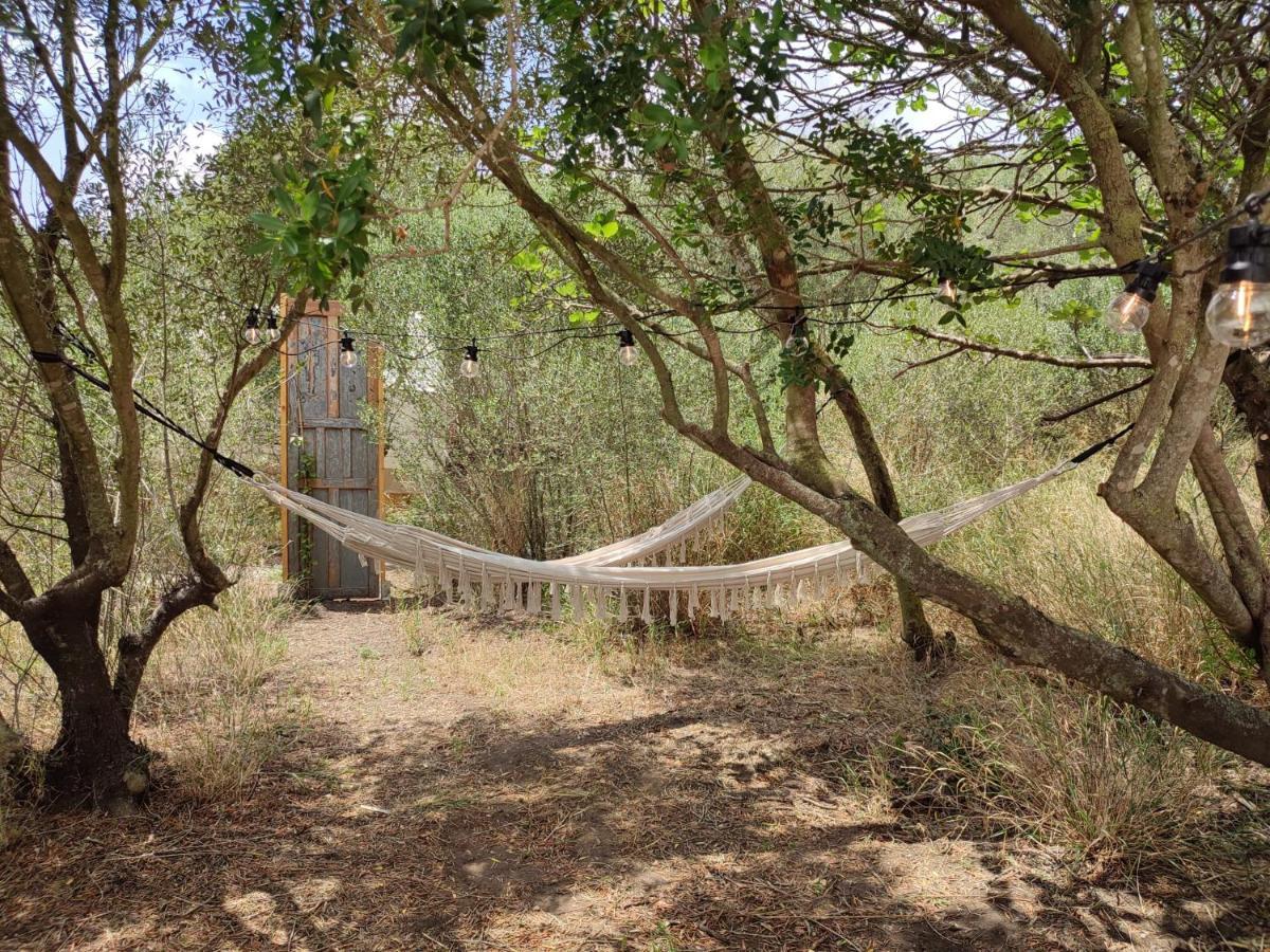 Tranquilo Glamping Hotel Hozanejos Luaran gambar