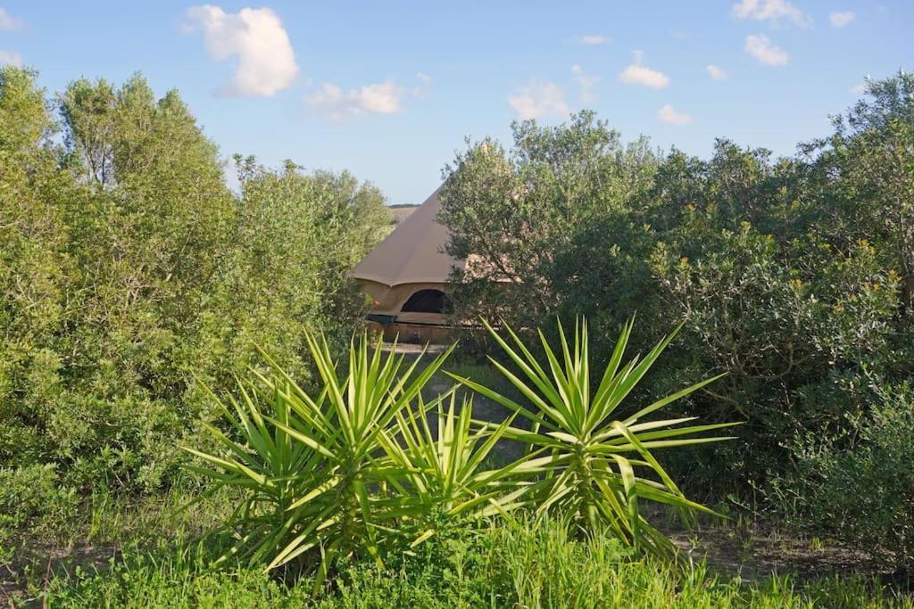 Tranquilo Glamping Hotel Hozanejos Luaran gambar